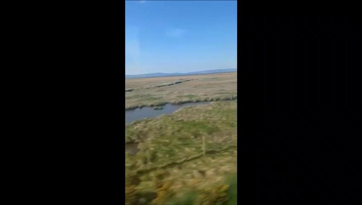 Almost 700 acres of grassland - more efficient at storing carbon than the rainforests - has been identified from City of Derry Airport to the mouth of Lough Foyle