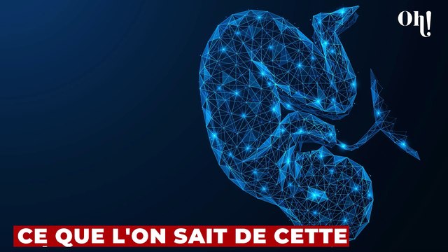 Trois bébés morts retrouvés au fond d'une cave, ce que l'on sait de cette découverte macabre