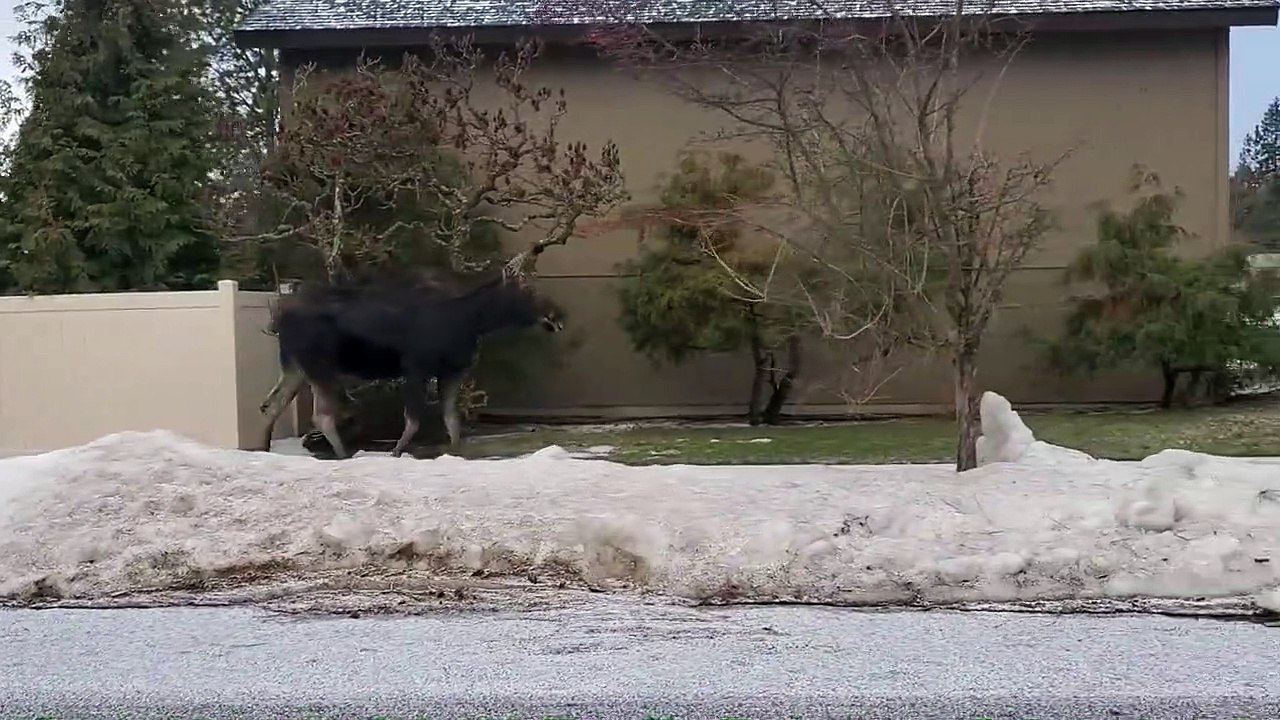 Une promenade inusitée