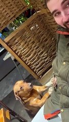 Comment résister à ce regard