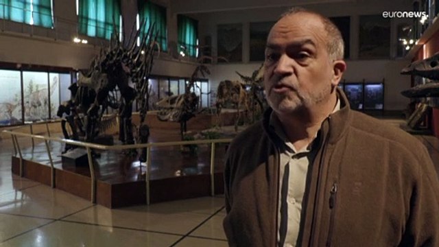 Un grupo de paleontólogos argentinos hallan los restos del megaraptor más grande documentado