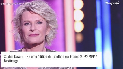Sophie Davant : Cet ex célèbre, si important pour elle, qui se lance... en politique !