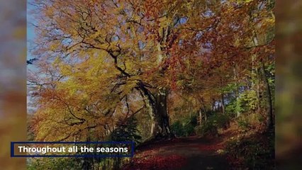 The Scotsman Readers Gallery