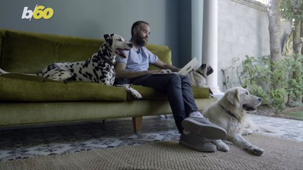 Americans Love to Spoil Their Pets