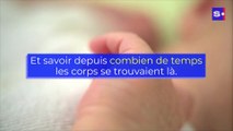 France : 3 bébés retrouvés morts dans une cave