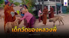 เป็นเด็กวัดต้องขยัน ออกมาช่วยหลวงพี่บิณฑบาตทุกเช้า