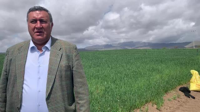 CHP'li Gürer: Gübre Fiyatları Bir Yılda Yüzde 342 Artınca Çiftçi Eskisi Kadar Gübre Atamadı