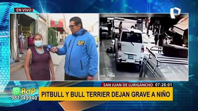 SJL: perros pitbull y Bull Terrier dejan grave a niño, médicos podrían amputarle el dedo