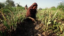 Guerra, crisi economica e clima: 193 milioni di persone soffrono fame