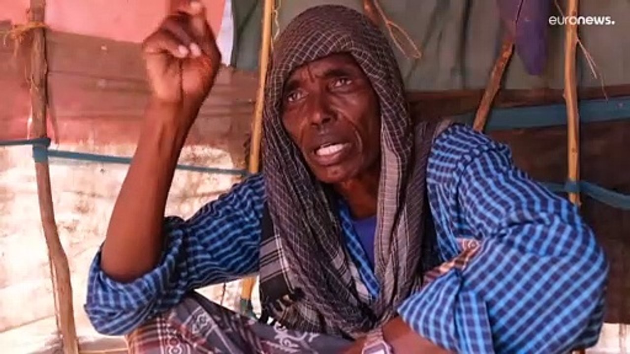 Corne de l'Afrique : la sécheresse menace 20 millions de personnes d'insécurité alimentaire