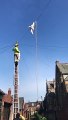 Sunderland Echo News - Firefighters join RSPCA to rescue stricken seagull hanging upside down from telegraph wire