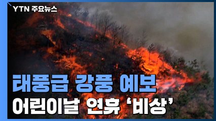 초속 25m 넘는 태풍급 '양간지풍'...어린이날 연휴 '산불 비상' / YTN