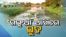 Special Story | Gangua River On The Verge Of Drying Up - OTV Special Report