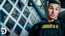 Persecución policial temina con ayuda canina | Mirada Policial | Discovery en Español