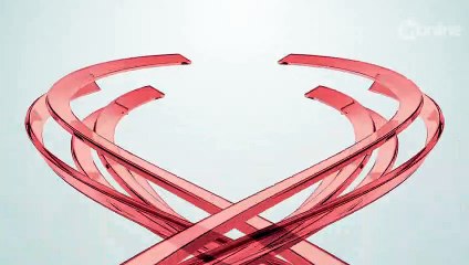 Idosa é presa com drogas, veículos e R$ 19 mil em dinheiro