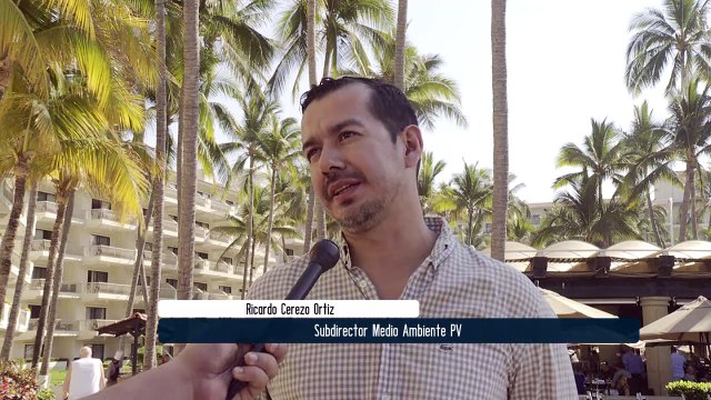 Peces muertos en Vallarta no fue por contaminación | CPS Noticias Puerto Vallarta