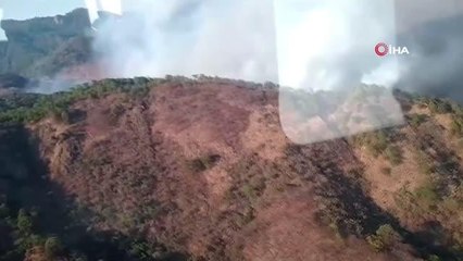 Meksika'daki orman yangınında 2 itfaiyeci öldü