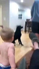 Child Chases After Ball With Silly Run