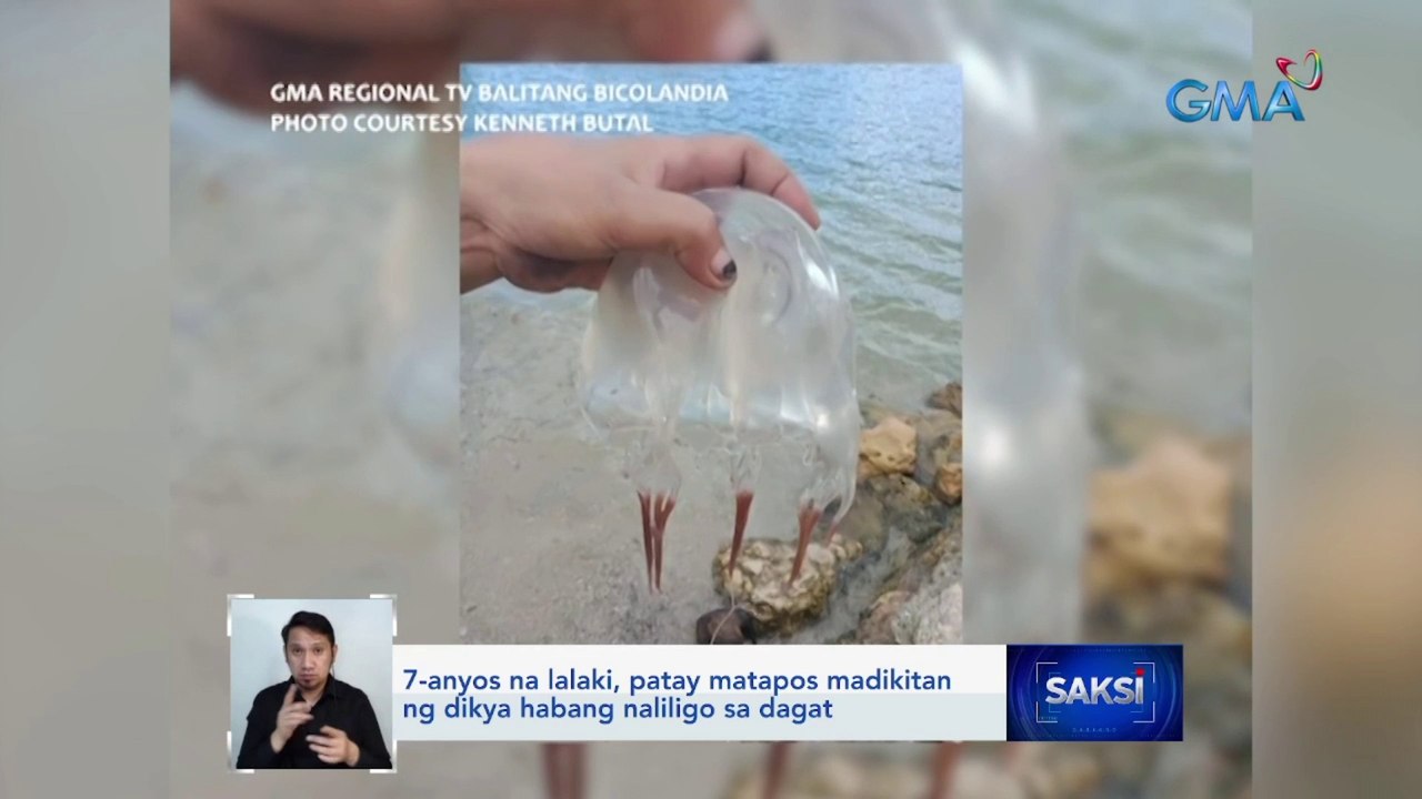 7-anyos na lalaki, patay matapos madikitan ng dikya habang naliligo sa dagat | Saksi