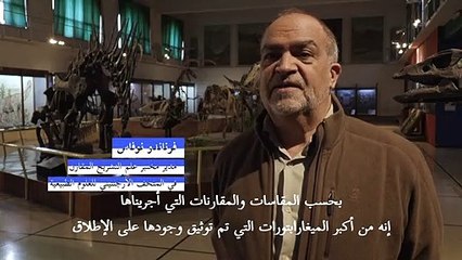 بقايا عُثر عليها في جنوب الأرجنتين تكشف أسرار ديناصور عاش قبل 70 مليون سنة