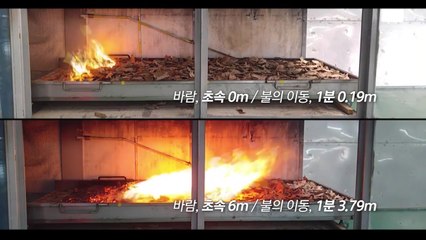 '양간지풍'에 불티 2km 이동...동해안 대형산불 비상 / YTN