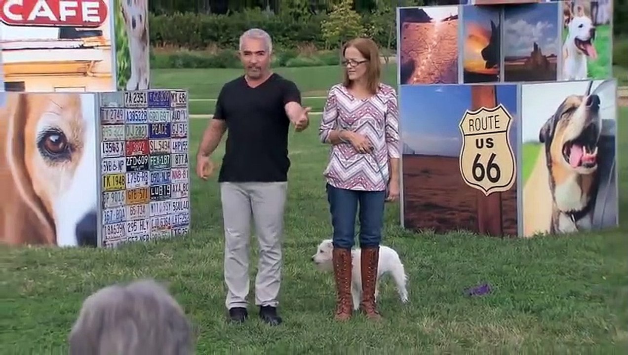 How To Stop Your Dog from Jumping on People w Cesar Millan video