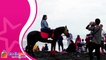 Sensasi Menikmati Ombak Sambil Berkuda di Pantai Watu Pecak di Lumajang