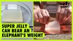 Super jelly can bear an elephant's weight | NEXT NOW
