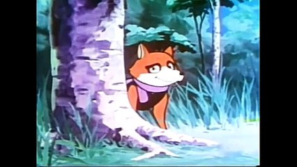 La Búsqueda del Sr. Pato | Las Fábulas del Bosque Verde