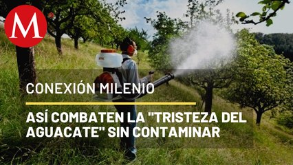 Control biológico de plagas | Conexión Milenio