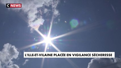 L'Ille-et-Vilaine touchée par un épisode de sécheresse