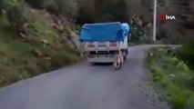 Köpeğini zincirle kamyonuna bağlayıp yolculuk yaptı