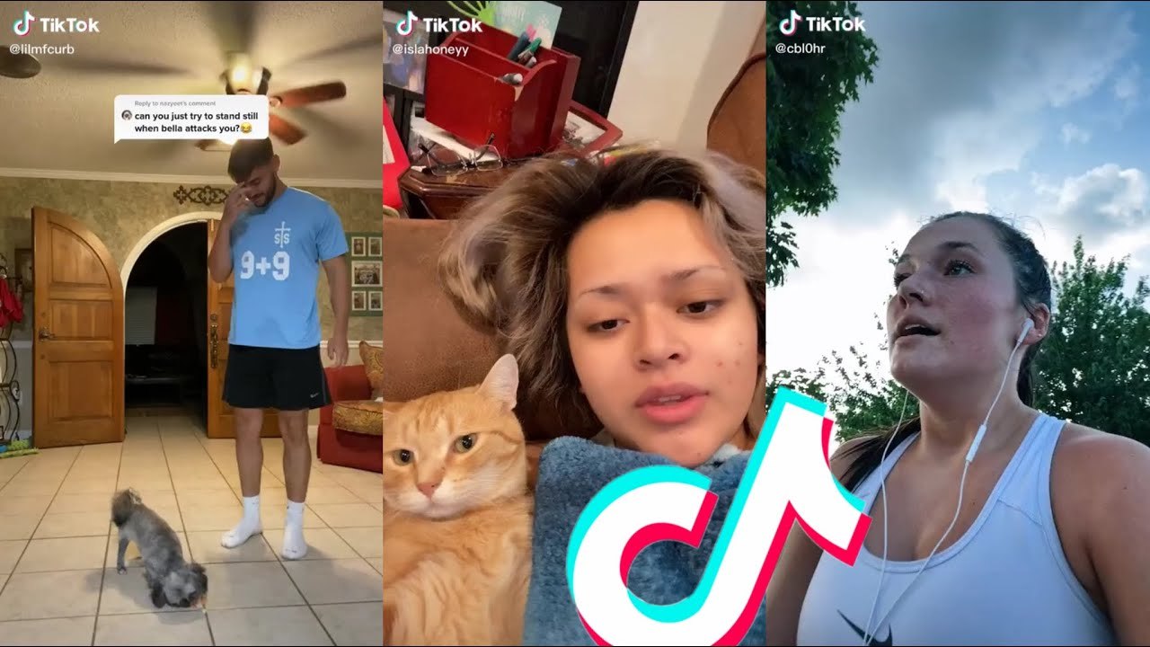 TIKTOKS THAT CURED MY DEPRESSION! #46