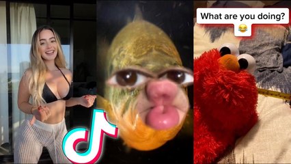 TIKTOKS THAT CURED MY DEPRESSION! #42