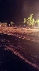 दौसा. तीन भाइयों के घरों में आग, लाखों रुपए का नुकसान