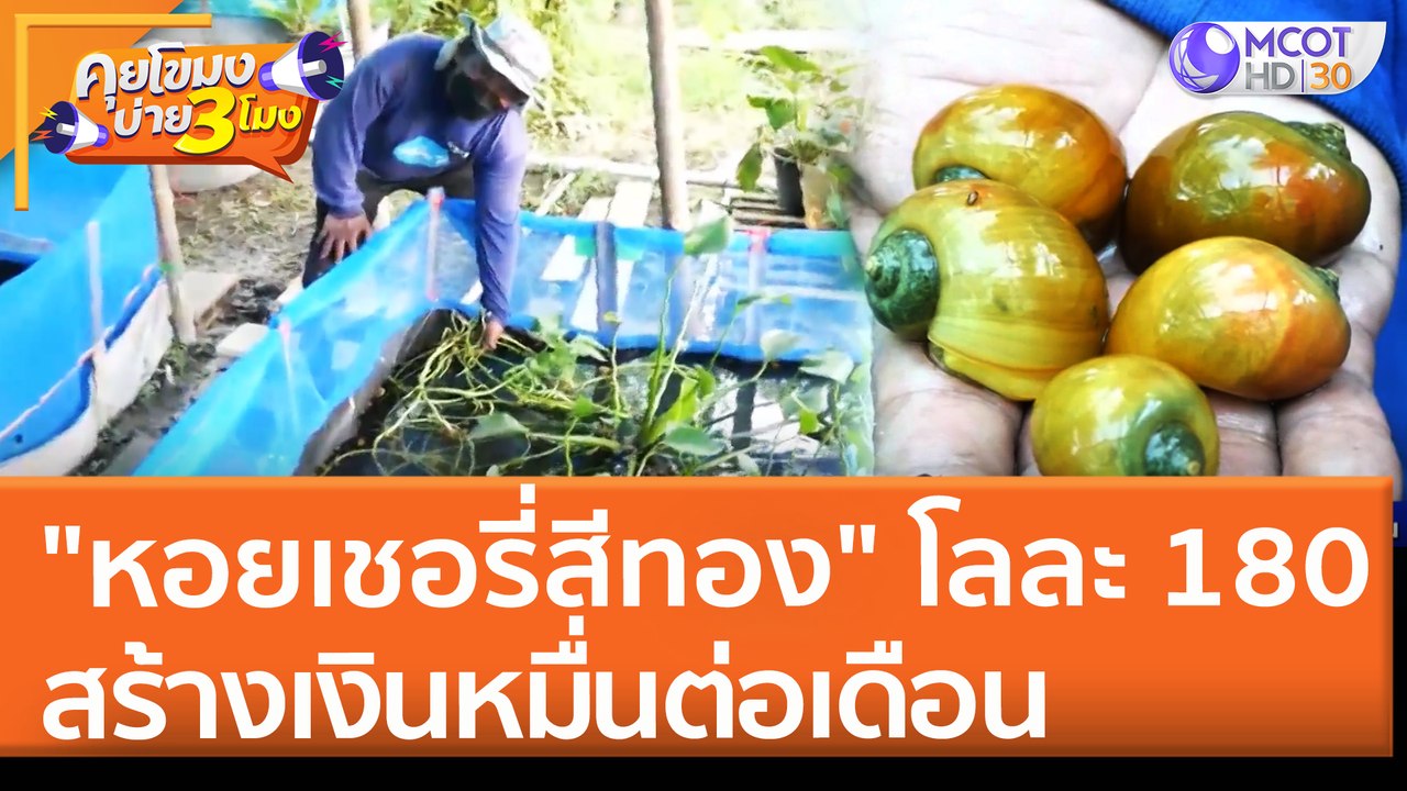 "หอยเชอรี่สีทอง" ทำเงินหมื่นต่อเดือน | คุยโขมงบ่าย 3 โมง