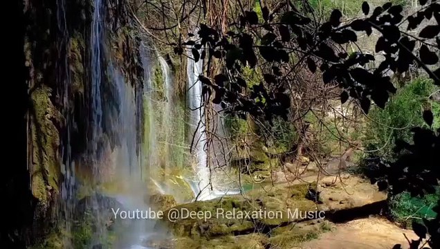 30 Minutes of Sleep & Relaxation Music for Focus | Meditation & affirmation | Deep Sllep Music | Study Music | Yoga Music | Relax