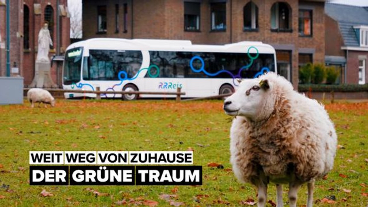 Wie der grüne Traum der E-Mobilität wahr wird