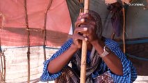 Seca severa na Etiópia: milhões de pessoas em insegurança alimentar