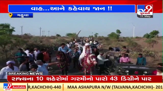 Dulha on bullock cart_ Groom, baraatis ride on bullock carts to arrive at wedding venue _ Mahuva
