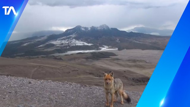 El Parque Nacional Cotopaxi es una de las áreas protegidas más importantes