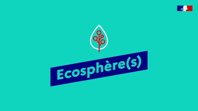 Écosphère(s) : Développer l'écosystème de la donnée de la transition écologique et de la cohésion des territoires - Entrepreneurs d'Intérêt Général