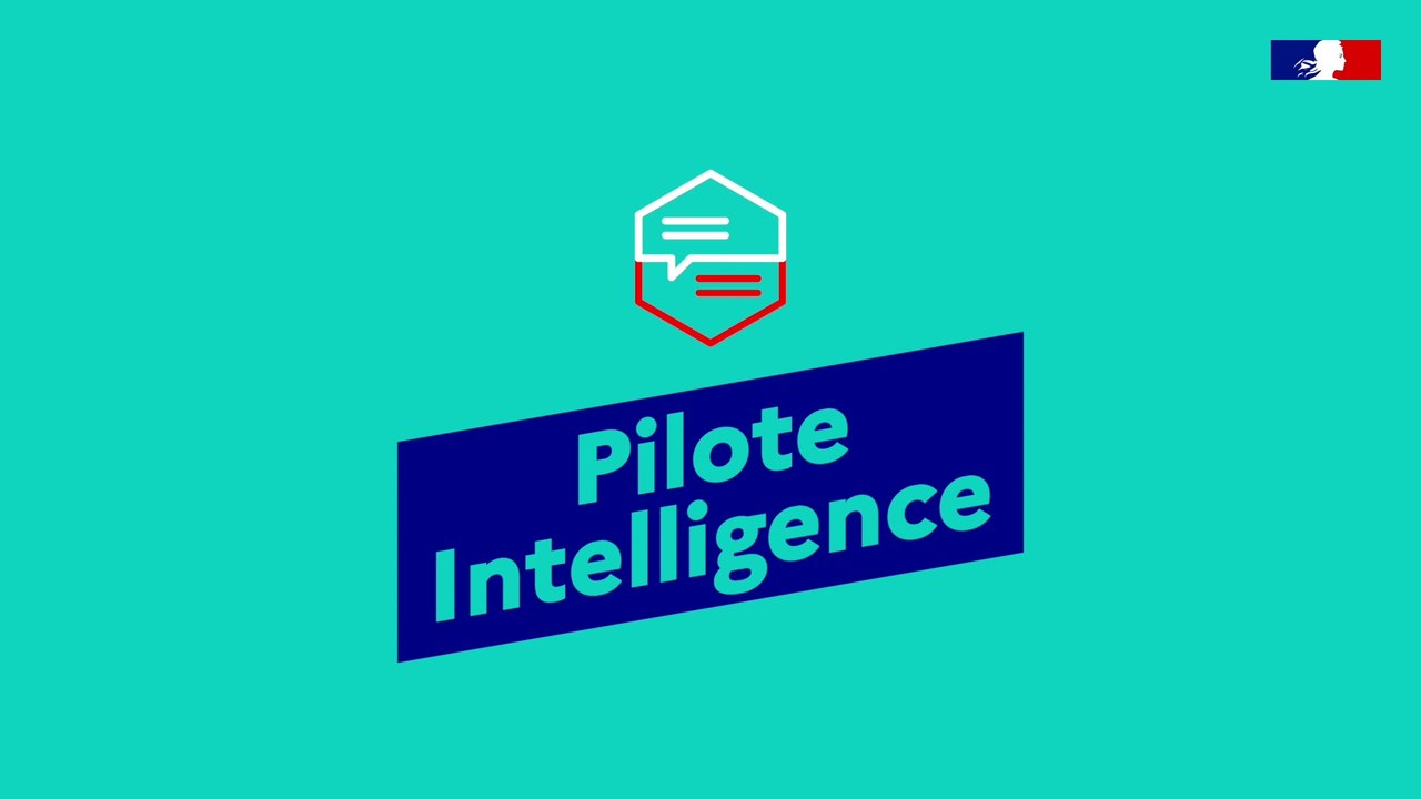Pilote Intelligence : Faciliter et animer le pilotage des politiques publiques à toutes les mailles territoriales - Entrepreneurs d'Intérêt Général