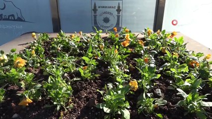 Şanlıurfa’nın cadde ve sokaklarında çiçek açacak