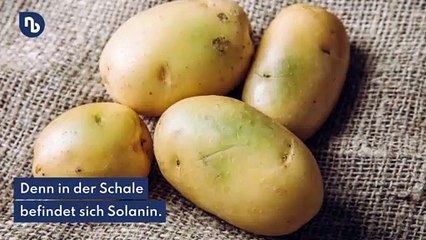 Achtung, giftig: Grüne Stellen bei Frühkartoffeln unbedingt entfernen
