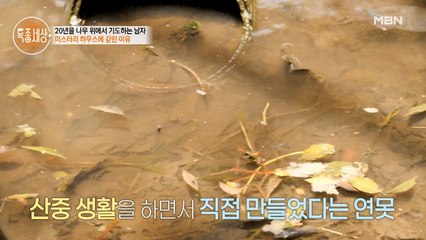 붕어 2마리로 시작한 연못, 늘어난 식구에 행복한 남자.