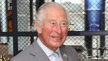 Prince Charles 'could abdicate' as royal not bound by Queen's pledge to serve nation