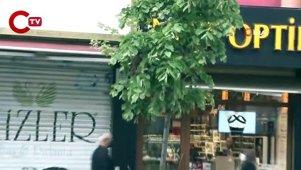 Ağaca oğul veren arılar, yoldan geçenleri tedirgin etti