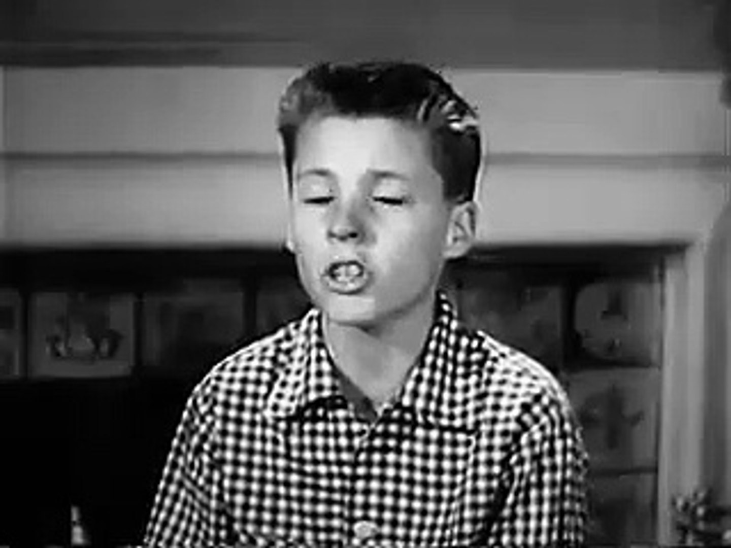 The Adventures of Ozzie and Harriet S1E8: The Traffic Signal (Comedy, Drama, Family, TV Series)