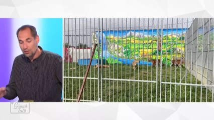 Le Grand Talk - 05/05/2022 - 1/3 - 2,22 mètres : le plus grand basketteur de France cartonne sur TikTok